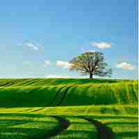 快‍速﻿Google Analytics服﻿务‍